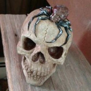 skull with spider